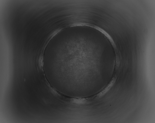 X0000100890809200806241230