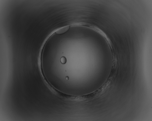 X0000100890811200806241230