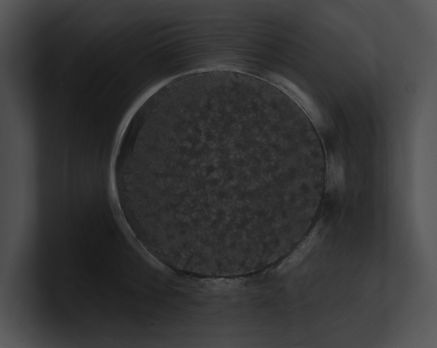 X0000100890812200806241230