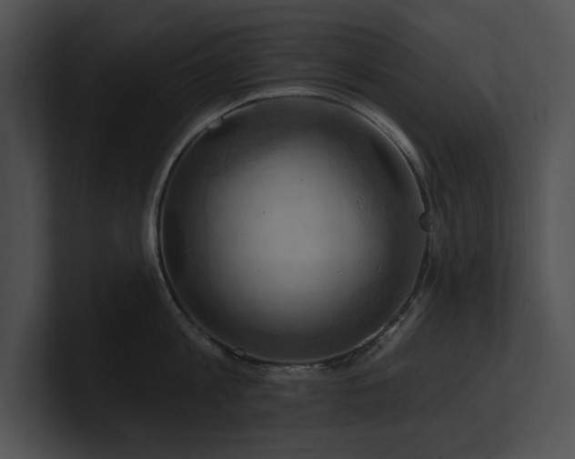 X0000100890813200806241230