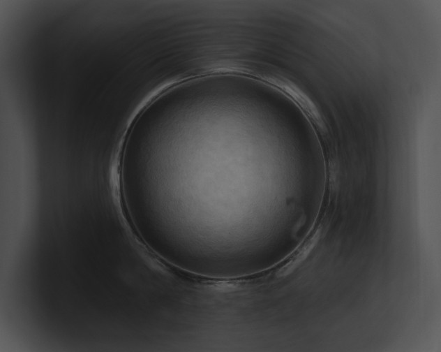 X0000100890814200806241230