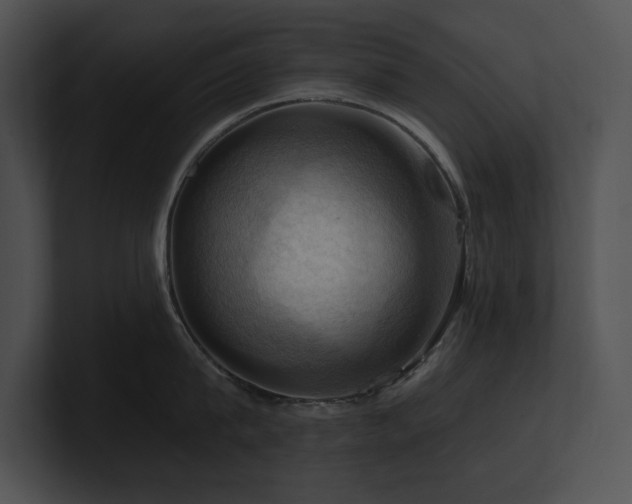 X0000100890815200806241230