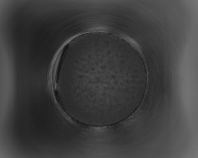 X0000100890816200806241230