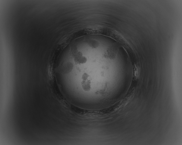 X0000100890819200806241229