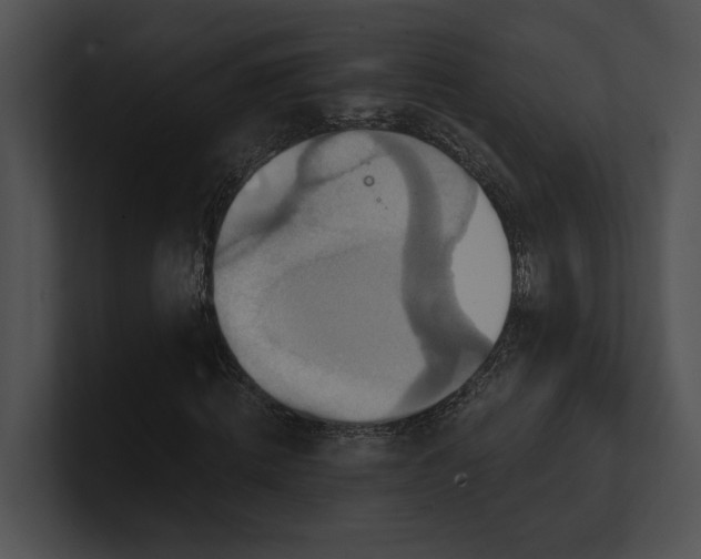 X0000100890820200806241229