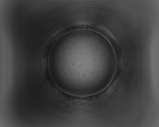X0000100890821200806241229
