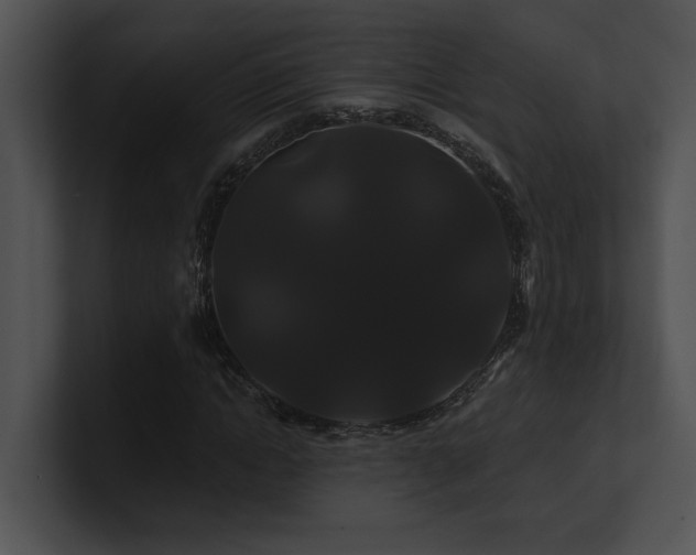 X0000100890822200806241229