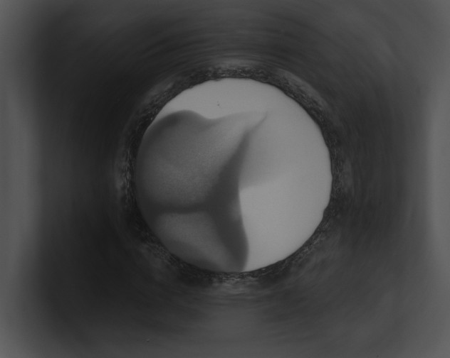 X0000100890824200806241229