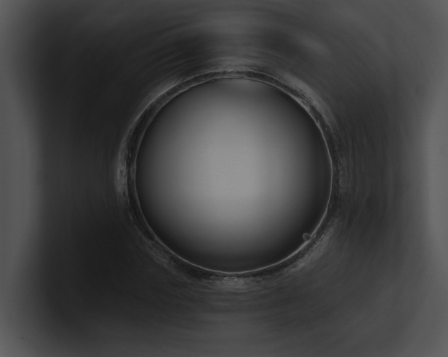 X0000100890827200806241229