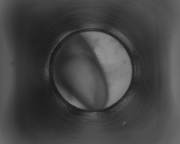 X0000100890828200806241229