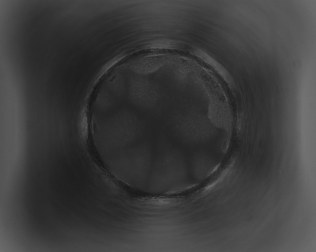 X0000100890829200806241229
