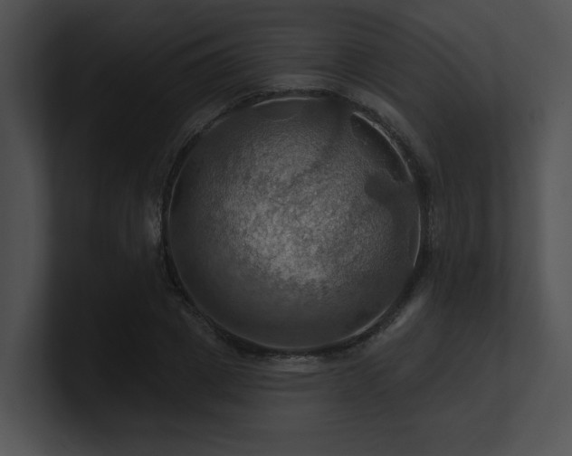 X0000100890833200806241230
