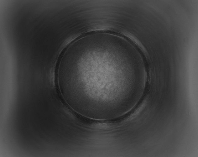 X0000100890834200806241230