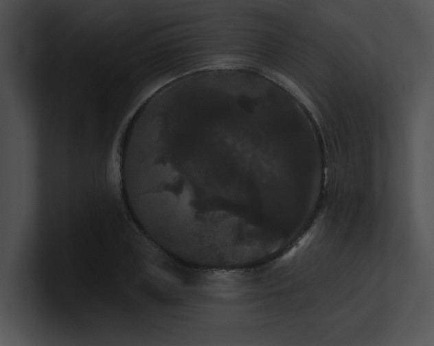 X0000100890835200806241230