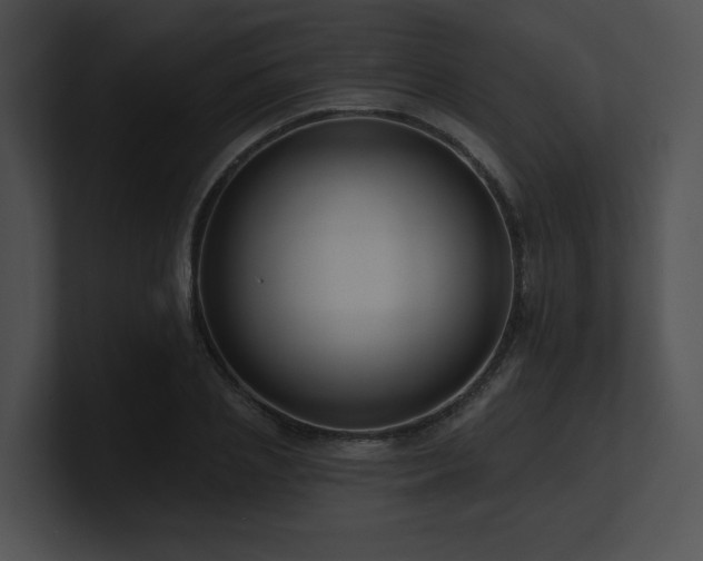 X0000100890837200806241230