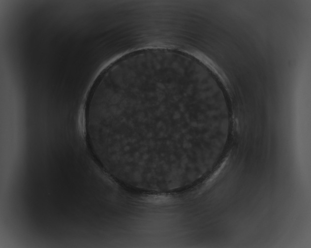 X0000100890838200806241230