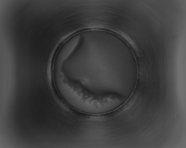 X0000100890840200806241230