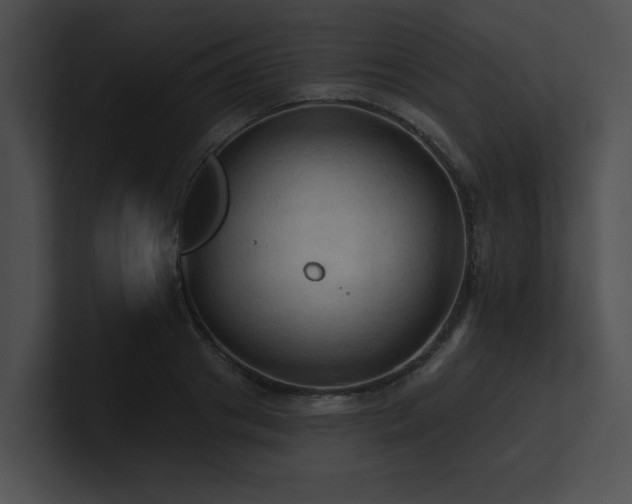 X0000100890841200806241230
