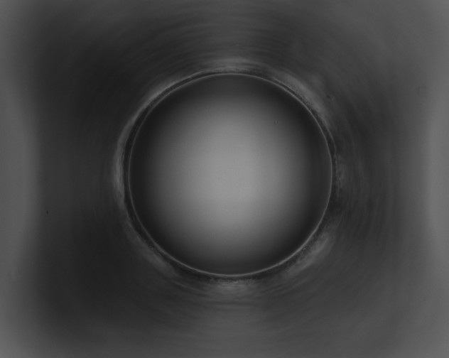 X0000100890843200806241230