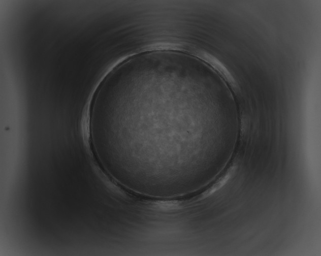 X0000100890844200806241230