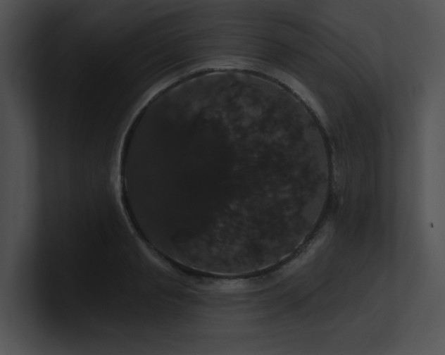 X0000100890845200806241230