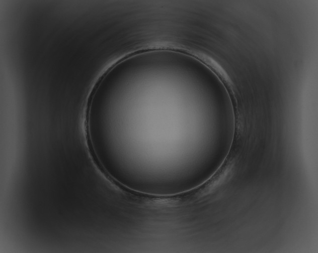 X0000100890847200806241230
