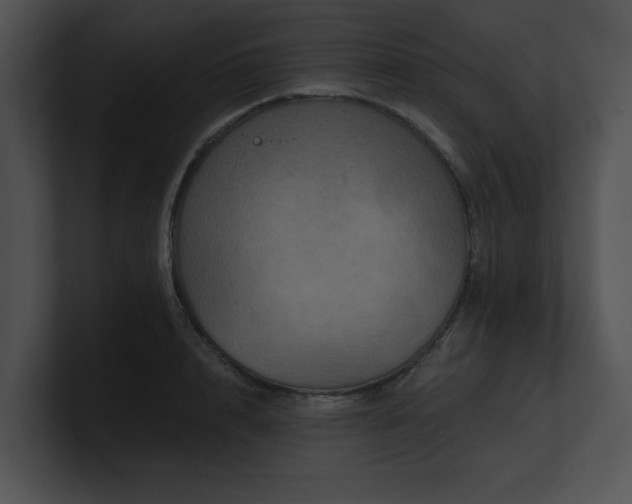 X0000100890848200806241230