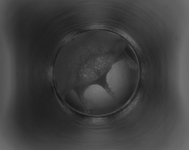 X0000100890849200806241230