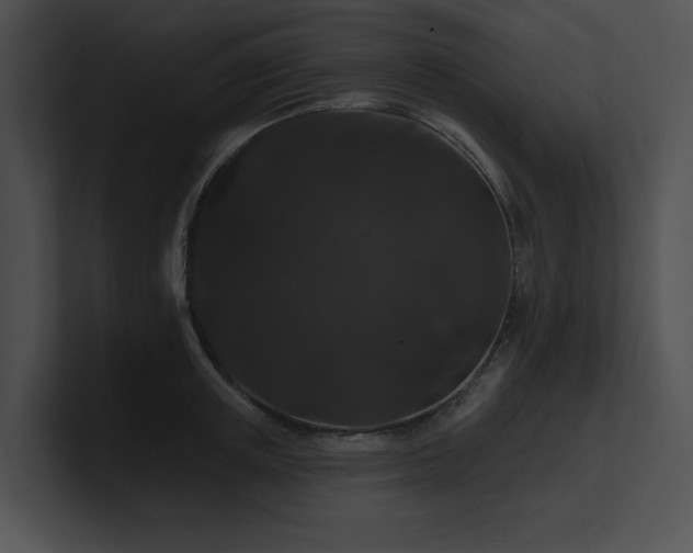 X0000100890851200806241230