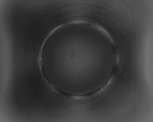 X0000100890852200806241230