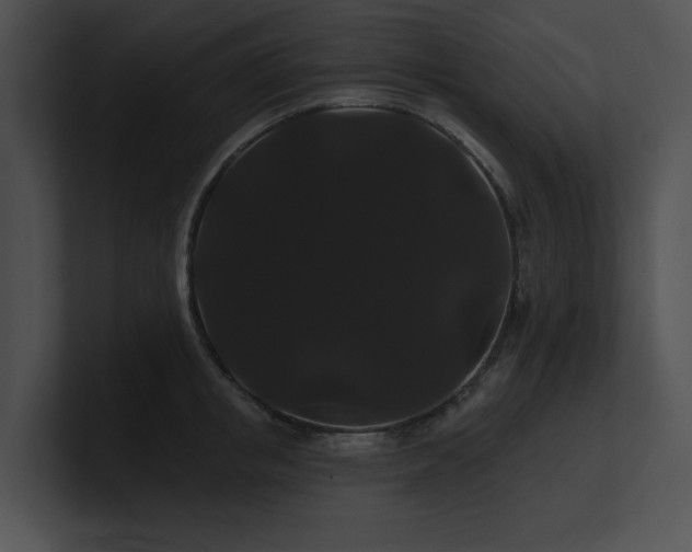 X0000100890853200806241230