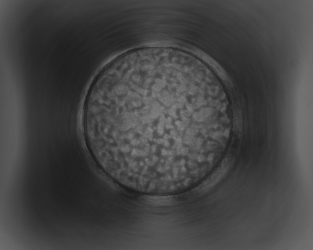 X0000100890856200806241230