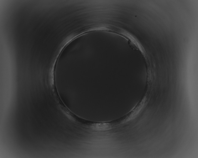 X0000100890858200806241230