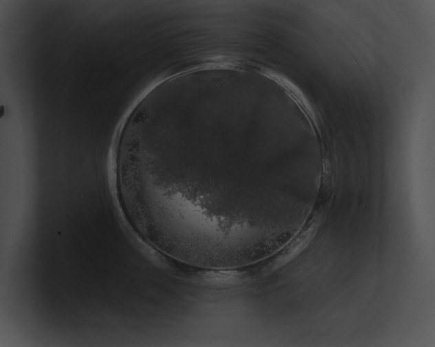 X0000100890859200806241230