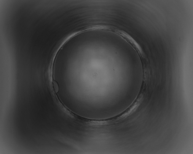 X0000100890860200806241230