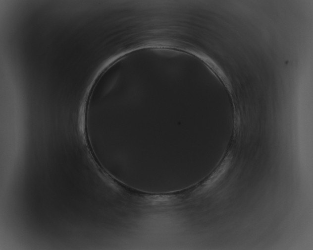X0000100890862200806241230