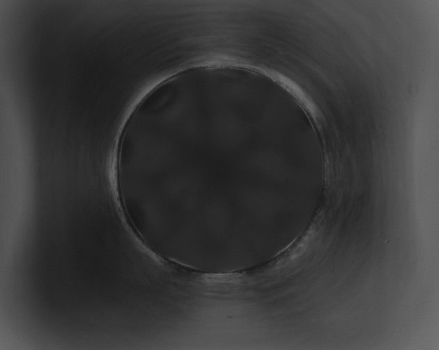 X0000100890863200806241230