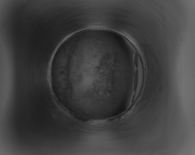 X0000100890864200806241230