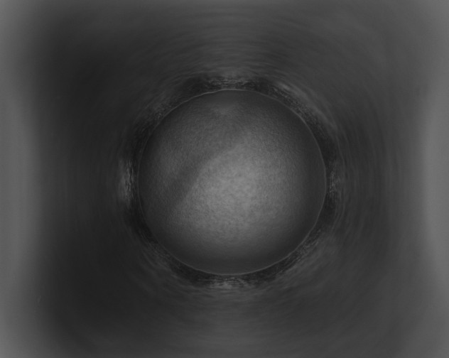 X0000100890866200806241229