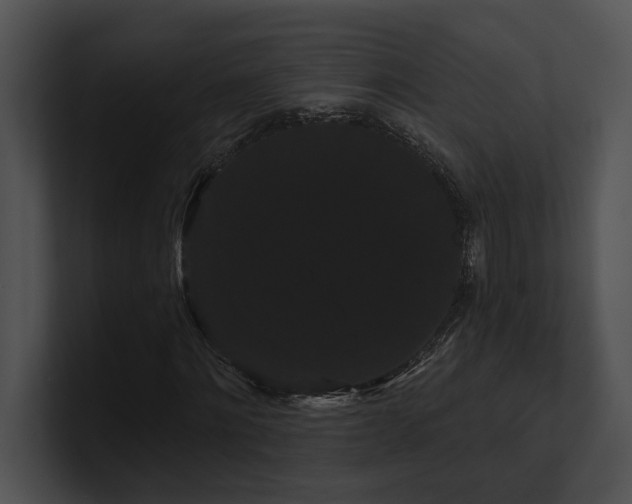 X0000100890868200806241229