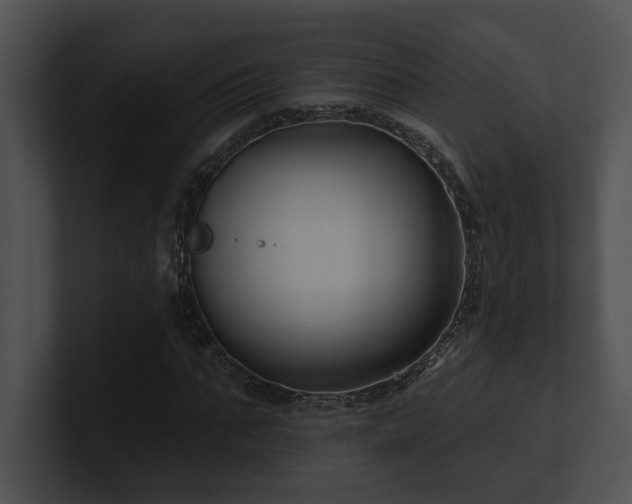 X0000100890871200806241229