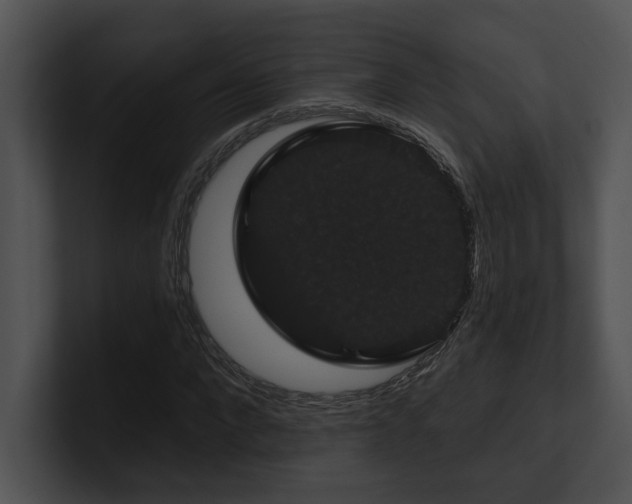 X0000100890872200806241229