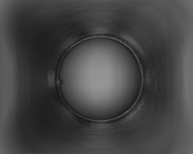 X0000100890873200806241229