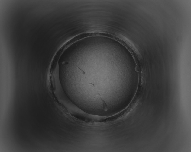 X0000100890876200806241229