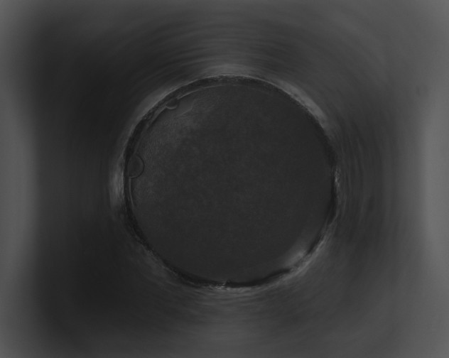 X0000100890877200806241229
