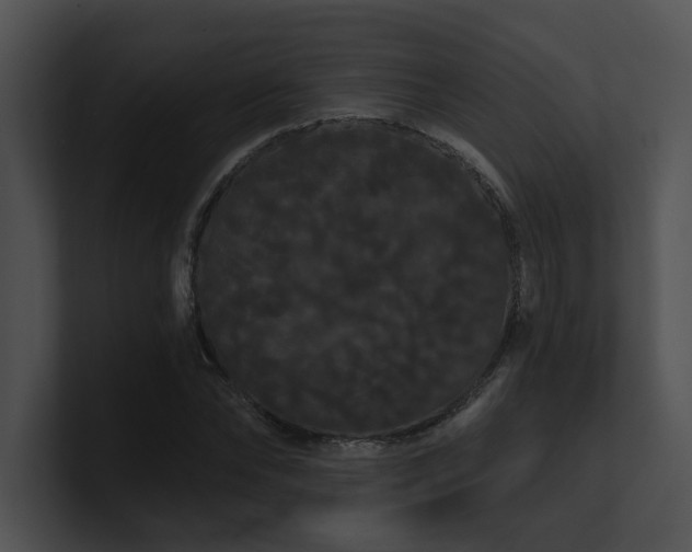 X0000100890878200806241229