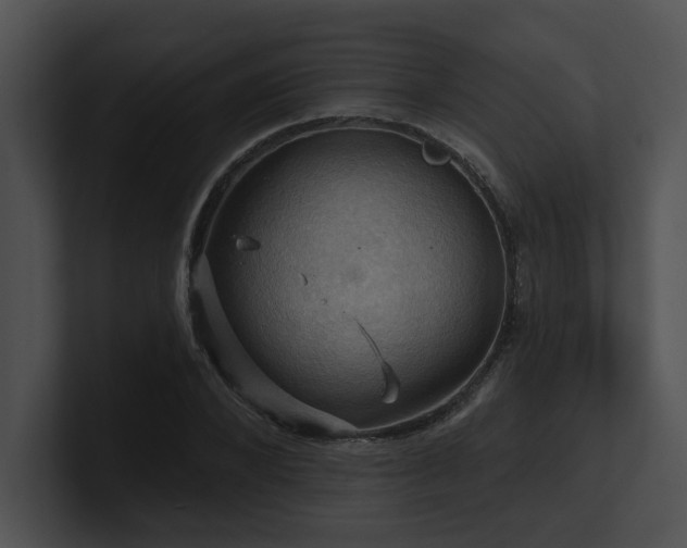 X0000100890880200806241229