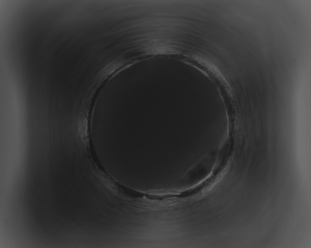 X0000100890881200806241229