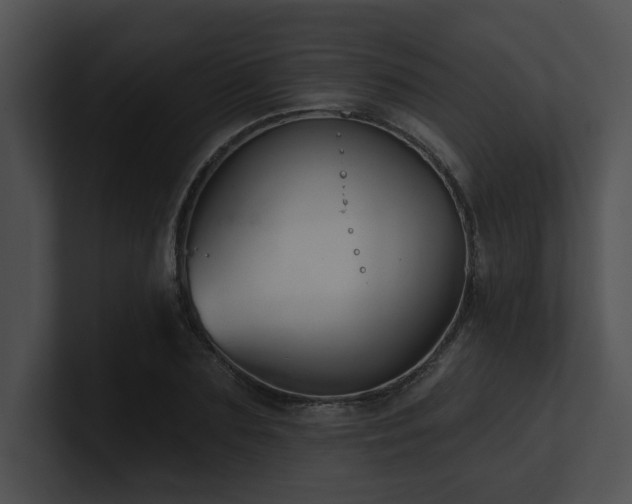 X0000100890883200806241229