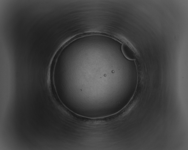X0000100890884200806241229